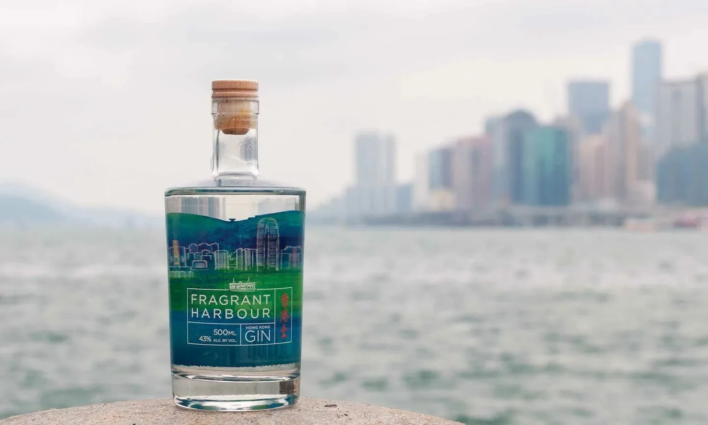 Hong Kong Gin bottle by the sea overlooking Hong Kong