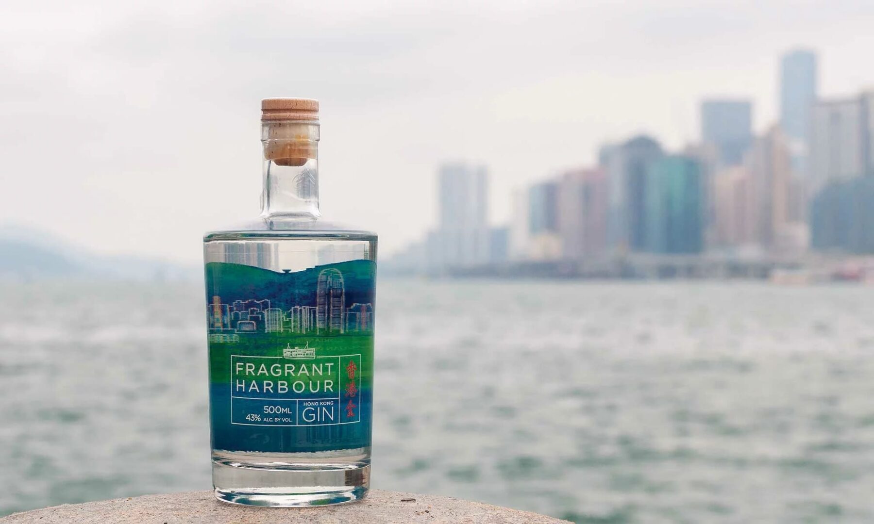 Hong Kong Gin bottle by the sea overlooking Hong Kong